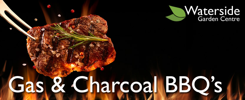 Gas & Charcoal BBQ Grills Gas & Charcoal BBQ Grills