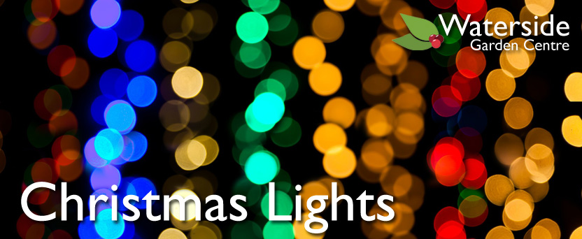 Christmas Lights