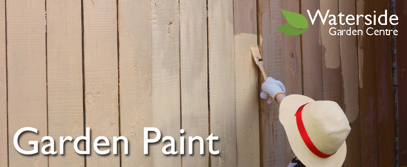 Paint