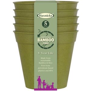3 inch Bamboo Fibre pots