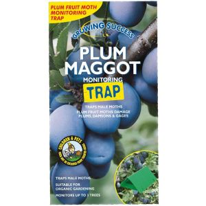 Grwoing Success Plum Maggot Trap