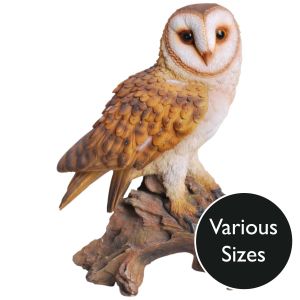 Vivid Arts Real Life Owls - Barn Owl Garden Ornament