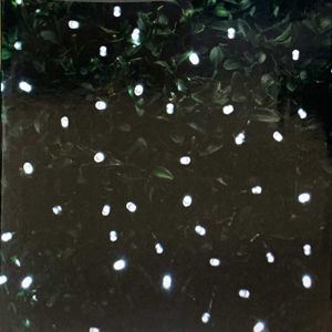 White LED String Solar Lights