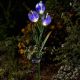Solar Crocus Silhouette Stake Light 