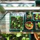 Westland Gro Sure - Electric Heated Propagation Mat