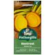 Mr Fothergill's - Beetroot Seeds - Golden Eye
