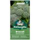 Mr. Fothergill's - Broccoli Seeds - (Autumn) Covina