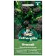 Mr Fothergill's - Broccoli Seeds - Sprouting Early Purple