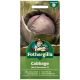 Mr Fothergill's - Cabbage Seeds - Red Romanov F1