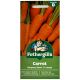 Mr. Fothergill's - Carrot Seeds - Burpees Short 'n' Sweet