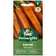 Mr Fothergill's - Carrot Seeds - Extremo F1