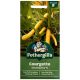 Mr. Fothergill's - Courgette Seeds - Shooting Star F1