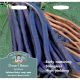 Mr. Fothergill's - Dwarf Bean Seeds - Amethyst