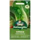 Mr. Fothergill's - Lettuce Seeds - Lobjoits Green Cos