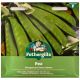 Mr Fothergill's - Pea Seeds - Mangetout Sweet Sahara