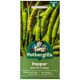 Mr Fothergill's - Pepper Seeds - Hot Curry Pepper