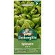 Mr Fothergill's - Spinach Seeds - Cello F1