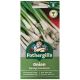 Mr. Fothergill's - Spring Onion Seeds - Guardsman