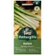Mr Fothergill's - Spring Onion Seeds - Katana F1
