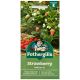 Mr Fothergill's - Strawberry Seeds - Delician F1