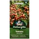 Mr. Fothergill's - Tomato Seeds - Cherry Falls