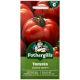 Mr Fothergill's - Tomato Seeds - Country Taste F1