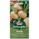 Mr. Fothergill's - Turnip Seeds - Purple Top Milan