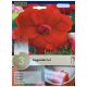 Red Begonia Bulb Set