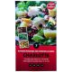 Kapiteyn - Charlotte Seed Potato - Winter Variety