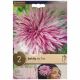 Hy Trio Dahlia Bulb Set