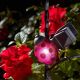 Smart Solar - Solar Powered - LadyBug Clip