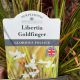 Libertia Goldfinger 