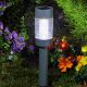Martini Solar Stake Light