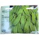Mr. Fothergill's Pea Mangetout Delikata