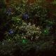 Smart Solar Powered Multi Colour String Lights