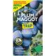 Plum Maggot Monitoring Refill Kit