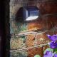 Premier Solar Wall Light