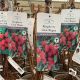 Raspberry Canes - Glen Magna 3L