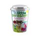 Little Gardeners -  Scented Sweet Peas