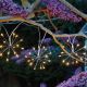 Smart Solar - Solar Powered - 10 Starburst String Lights