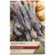 Taylors Bulbs - Pacific Purple - Asparagus