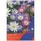 Taylors Bulbs - Anemone - Blanda Mixed