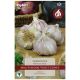 Taylors Bulbs - Germidour - Garlic