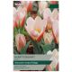 Hearts Delight - Taylors Bulbs