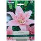 Elodie Lily Bulb Set