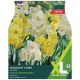 Taylors Bulbs - Fragrant Cheer