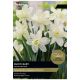 Taylors Bulbs - Snow Baby - Narcissus