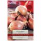 Taylors Grow Your Own 'Vigarmor' Variety Shallots