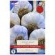 Taylors Grow Your Own 'Edenrose' Variety Garlic