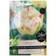 Danceline Tulip Bulb Set - Taylors Bulbs